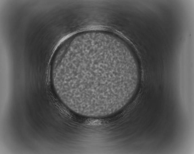 X0000103321222200810060948