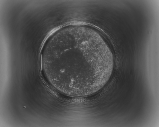 X0000103321223200810060948