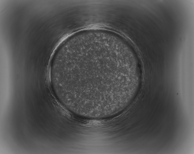 X0000103321224200810060948