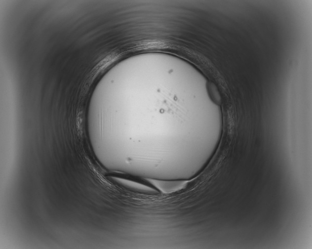 X0000103321225200810060948