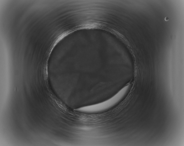 X0000103321226200810060948