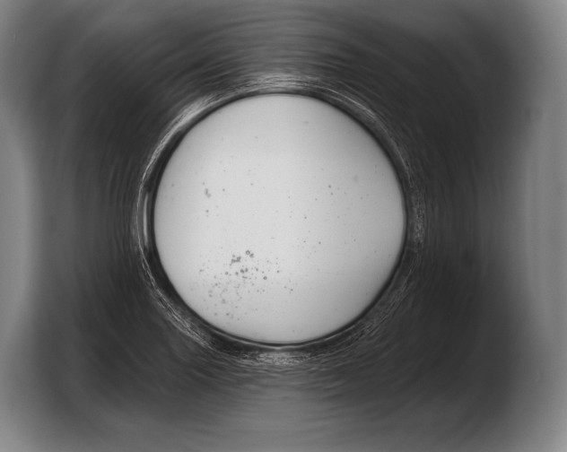 X0000103321227200810060948