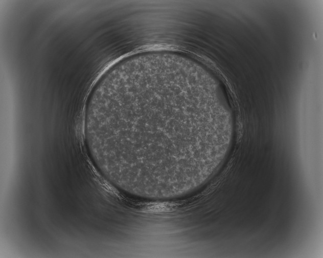 X0000103321228200810060948