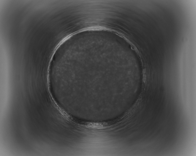 X0000103321229200810060948