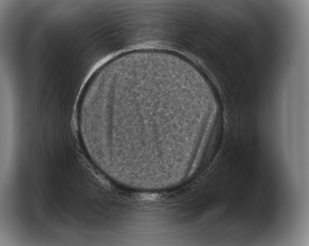 X0000103321230200810060948