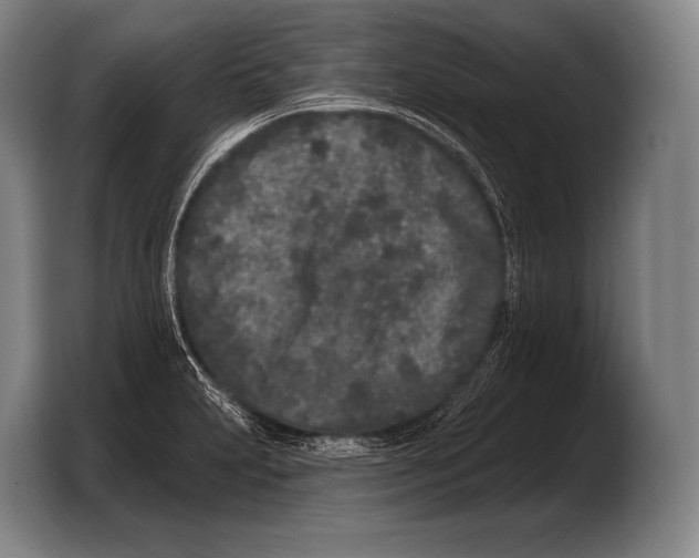 X0000103321231200810060948