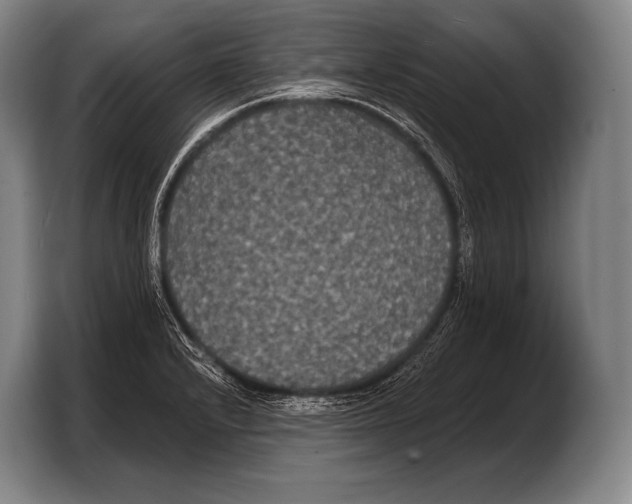 X0000103321232200810060948