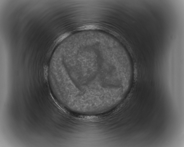 X0000103321233200810060948