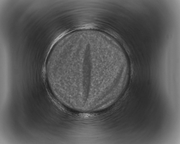 X0000103321234200810060948