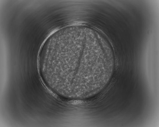 X0000103321235200810060948