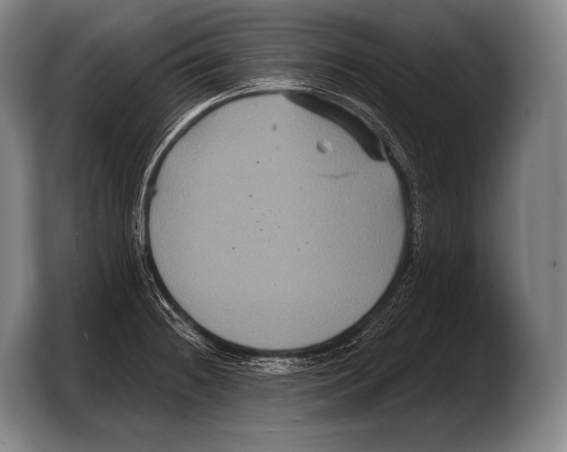 X0000103321236200810060948