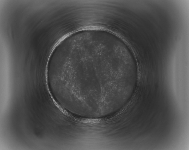 X0000103321237200810060948