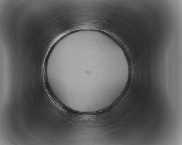 X0000103321238200810060948