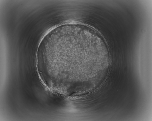 X0000103321239200810060948