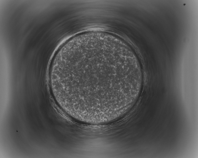 X0000103321240200810060948