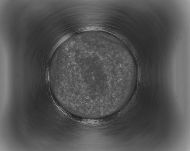 X0000103321241200810060948