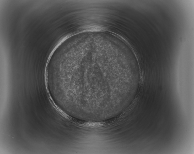 X0000103321243200810060948