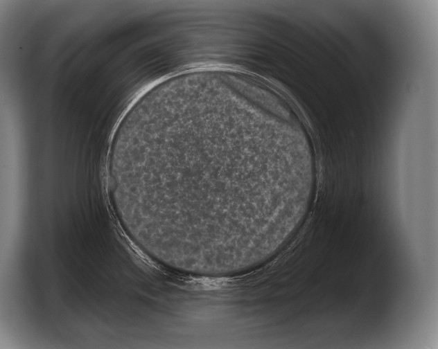 X0000103321244200810060948