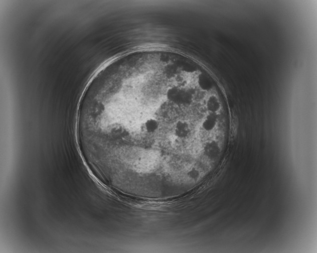 X0000103321245200810060948