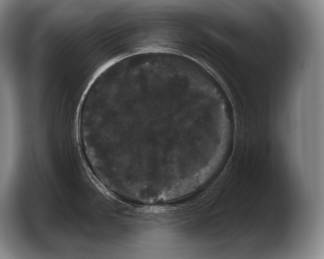 X0000103321246200810060948