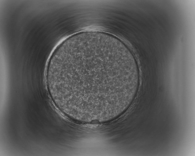 X0000103321248200810060948