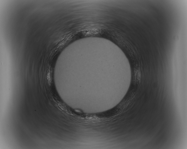 X0000103321250200810060948