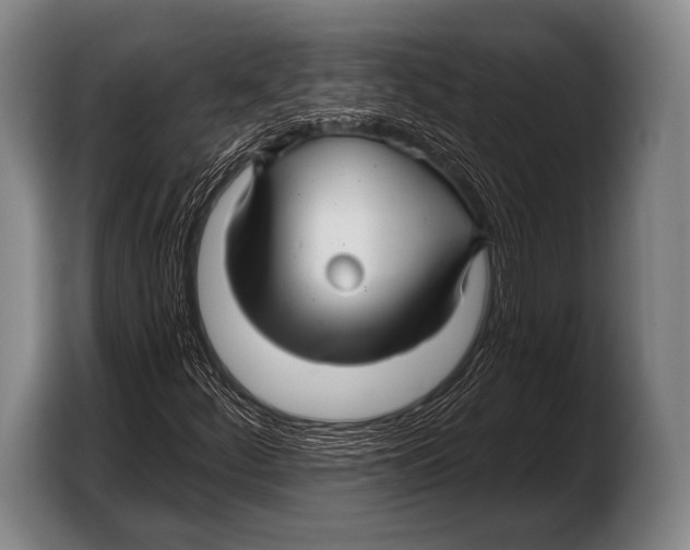 X0000103321252200810060948