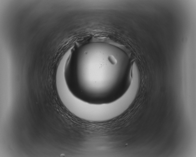 X0000103321253200810060948