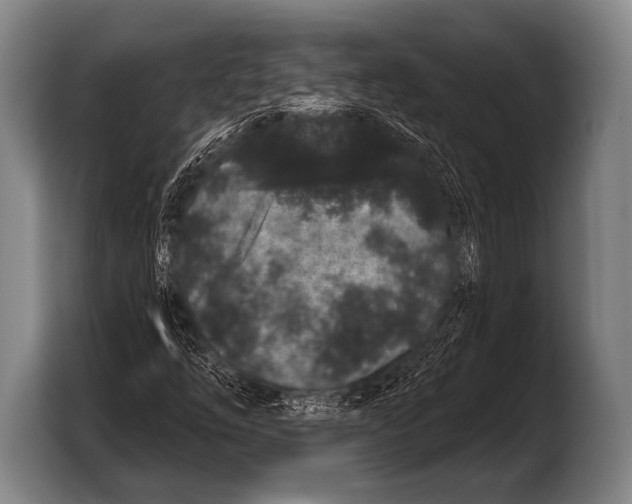 X0000103321254200810060948