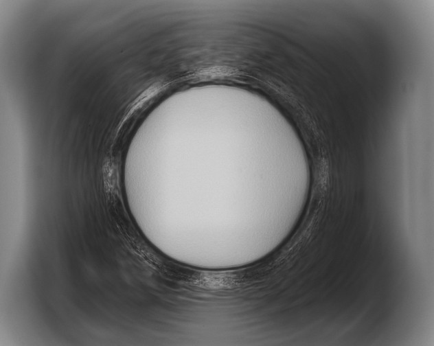 X0000103321258200810060948