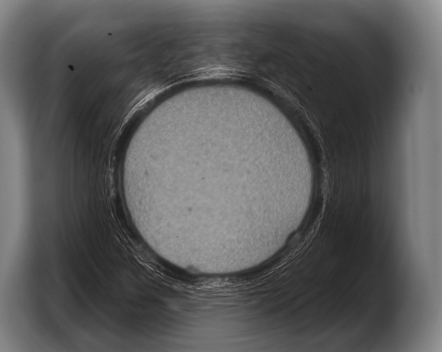 X0000103321259200810060947