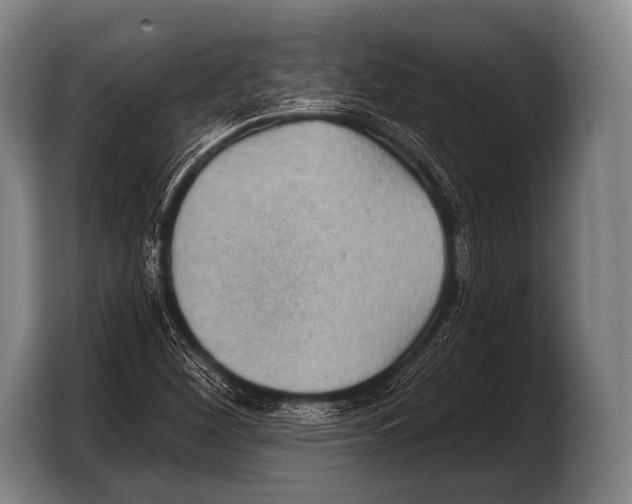 X0000103321260200810060947