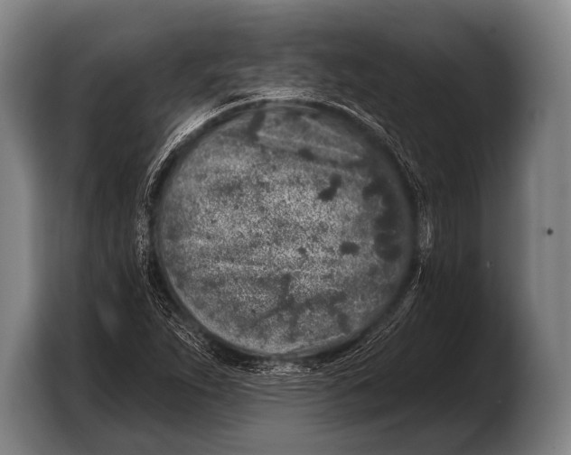 X0000103321263200810060947