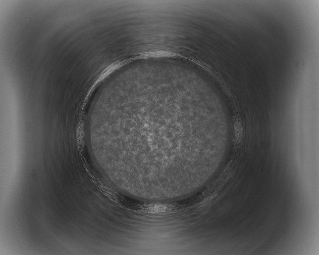 X0000103321266200810060947