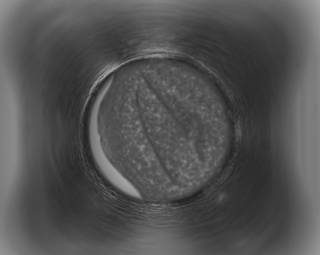 X0000103321267200810060947