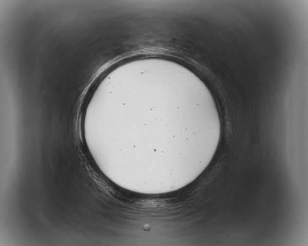 X0000103321272200810060947