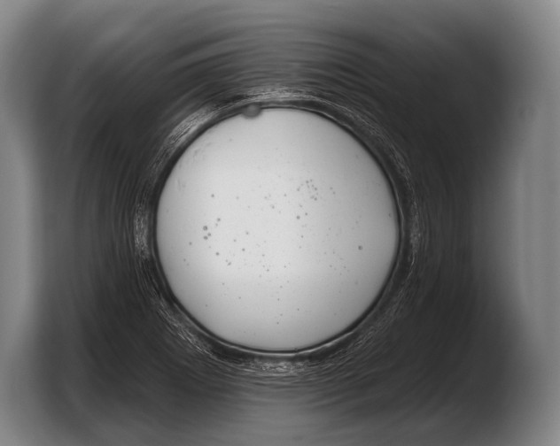 X0000103321273200810060947