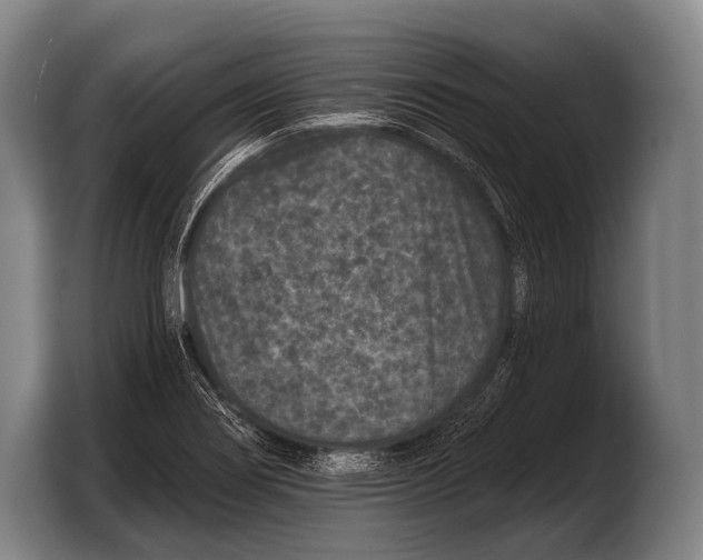 X0000103321274200810060947