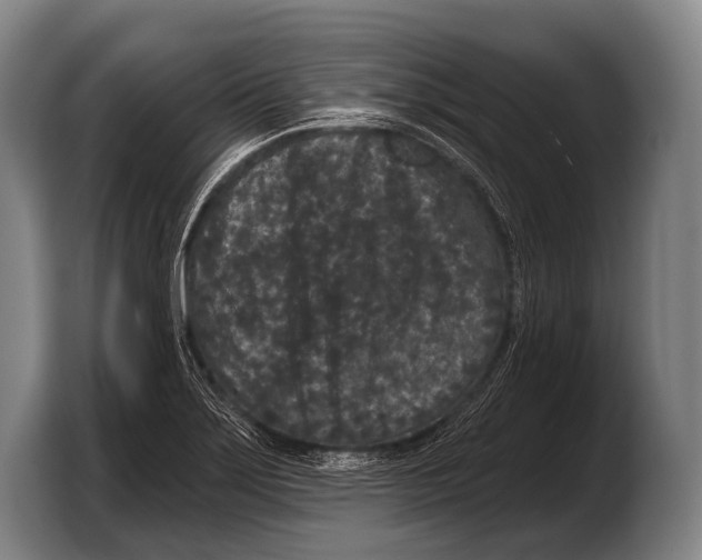 X0000103321275200810060947