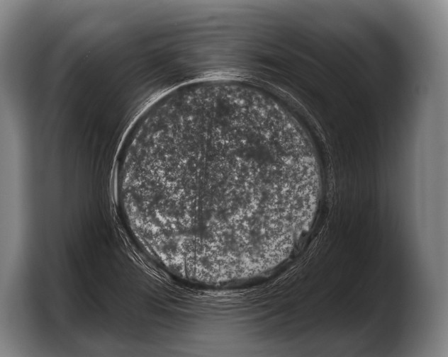 X0000103321276200810060947