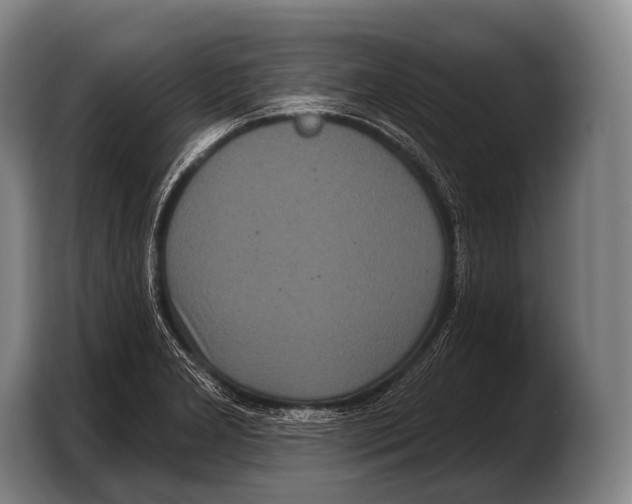 X0000103321277200810060947