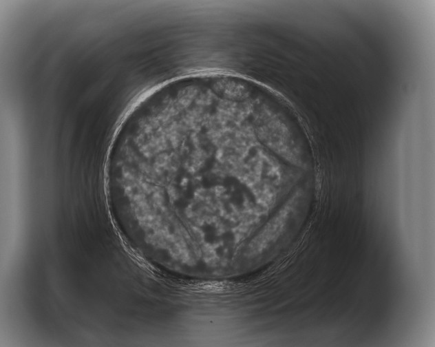 X0000103321279200810060947