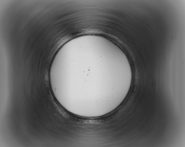 X0000103321281200810060947