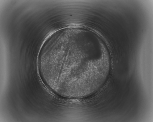 X0000103321283200810060947