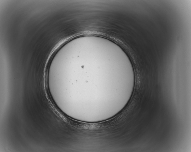 X0000103321286200810060947