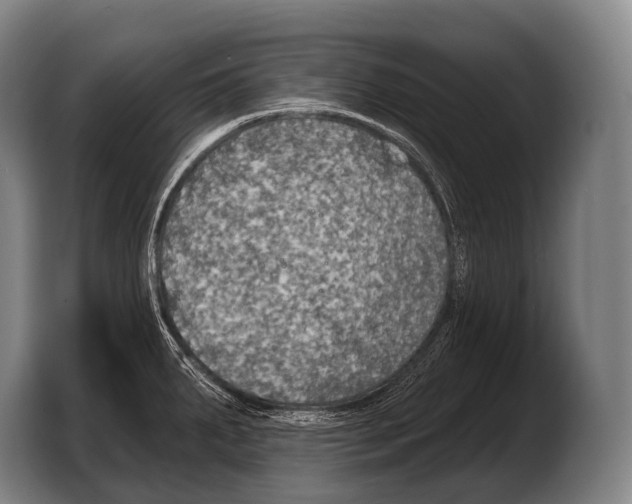 X0000103321287200810060947