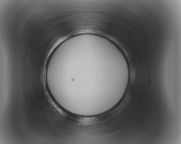 X0000103321290200810060947