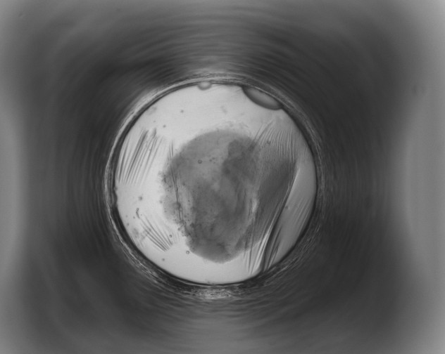 X0000103321291200810060947