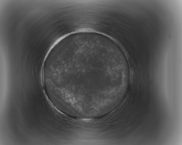 X0000103321295200810060947