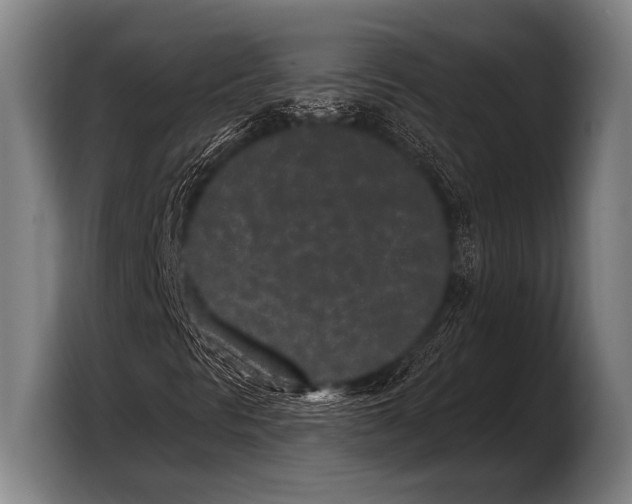 X0000103321297200810060946